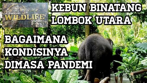 Kebun binatang lombok utara  Kebun Binatang Surabaya Buka awal Juli 2020, Cuma 3 Jam